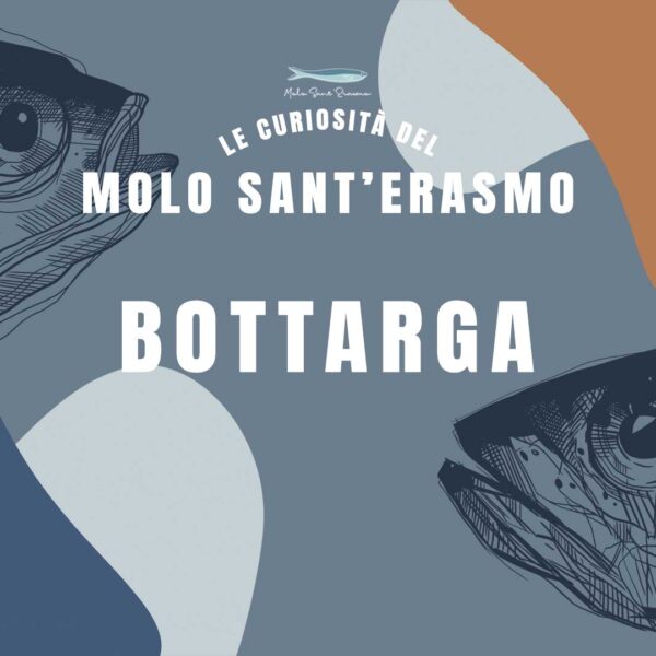 Curiosità sulla bottarga