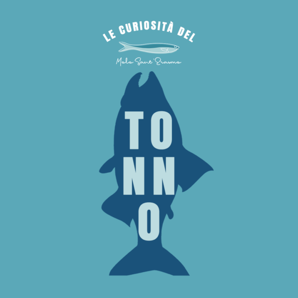 Sai quanti tipi di tonno esistono nel Mediterraneo?