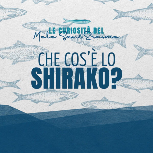 Le curiosità del Molo: che cos’è lo shirako?